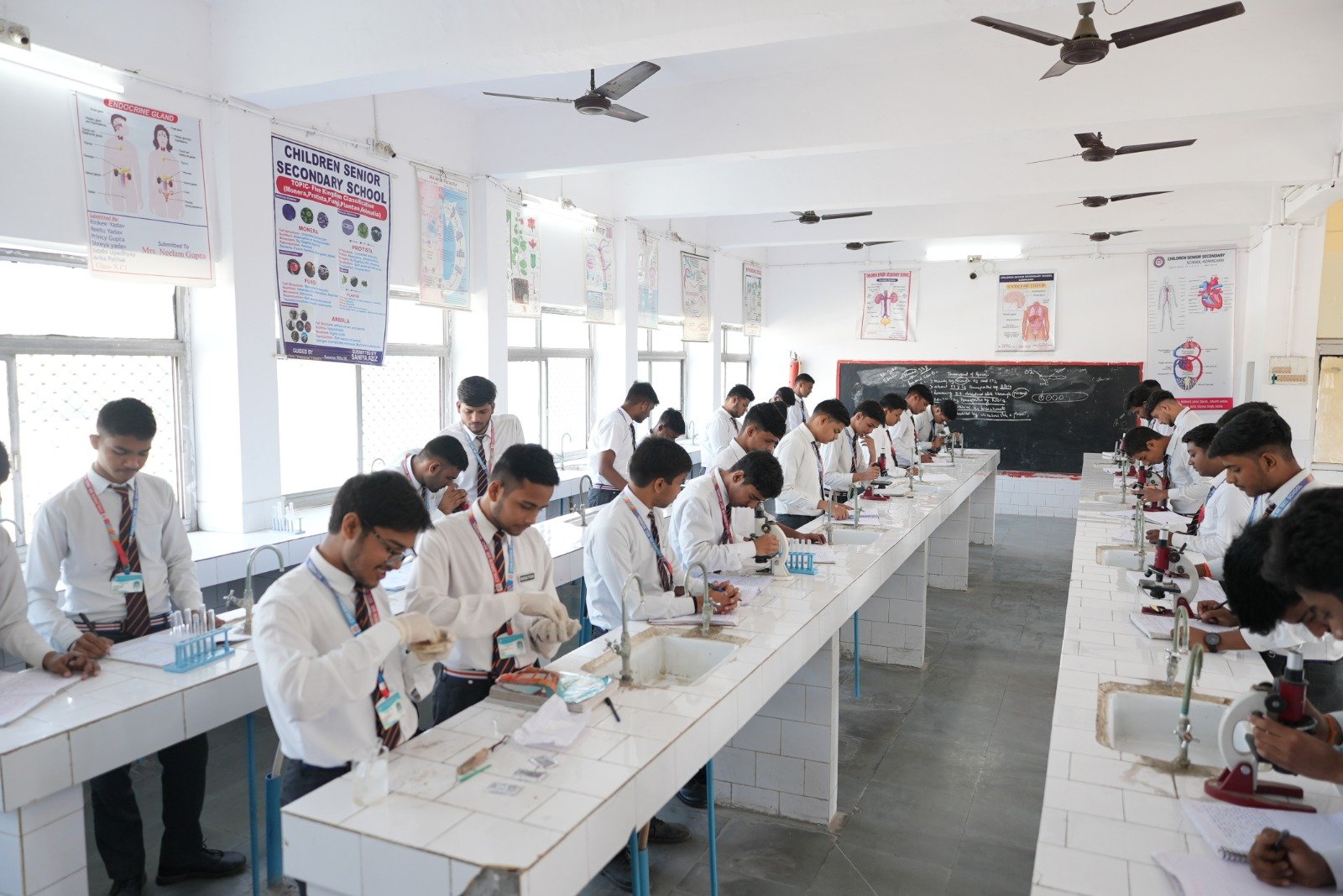 School Gallery Image 6